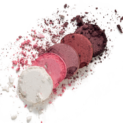 Палетка теней из 5 оттенков Flormar 006 2732097